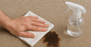 Hand blotting brown carpet stain with white cloth and spray bottle.